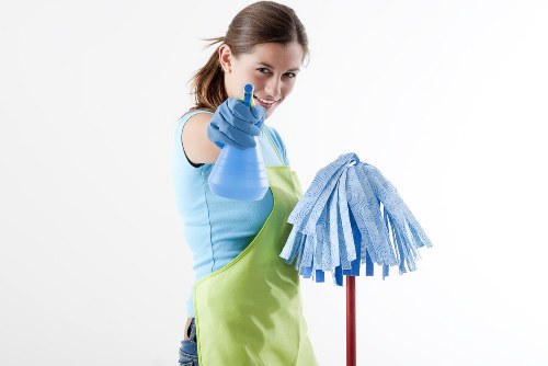 Professional carpet cleaning in an Upton Park home