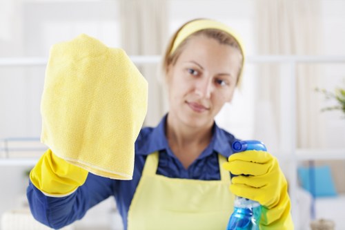 Payment and service agreement details for carpet cleaning appointment