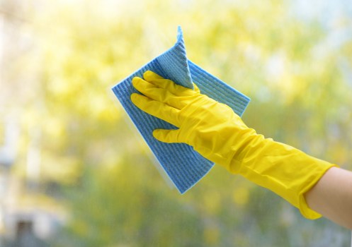 Professional Upton Park carpet cleaners refreshing a living room carpet
