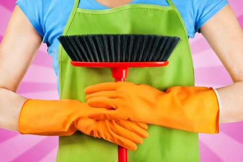 Professional sofa cleaning service in a Upton Park living room