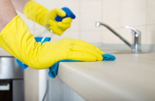Specialist pet stain odour removal process in a Upton Park home