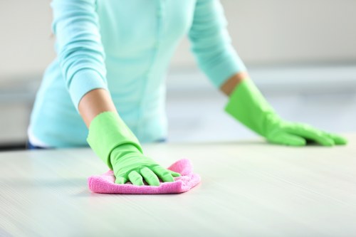 Staff member assessing a carpet cleaning service record
