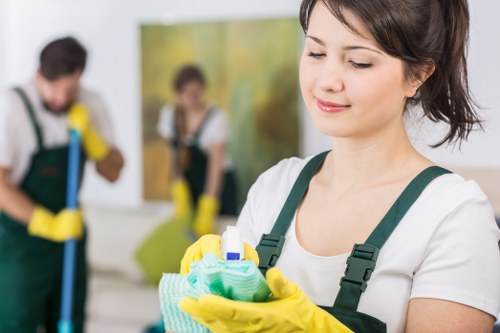Professional carpet cleaning and stain treatment in Upton Park