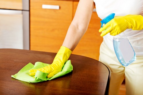 Carpet cleaning for stubborn pet urine odours in Upton Park